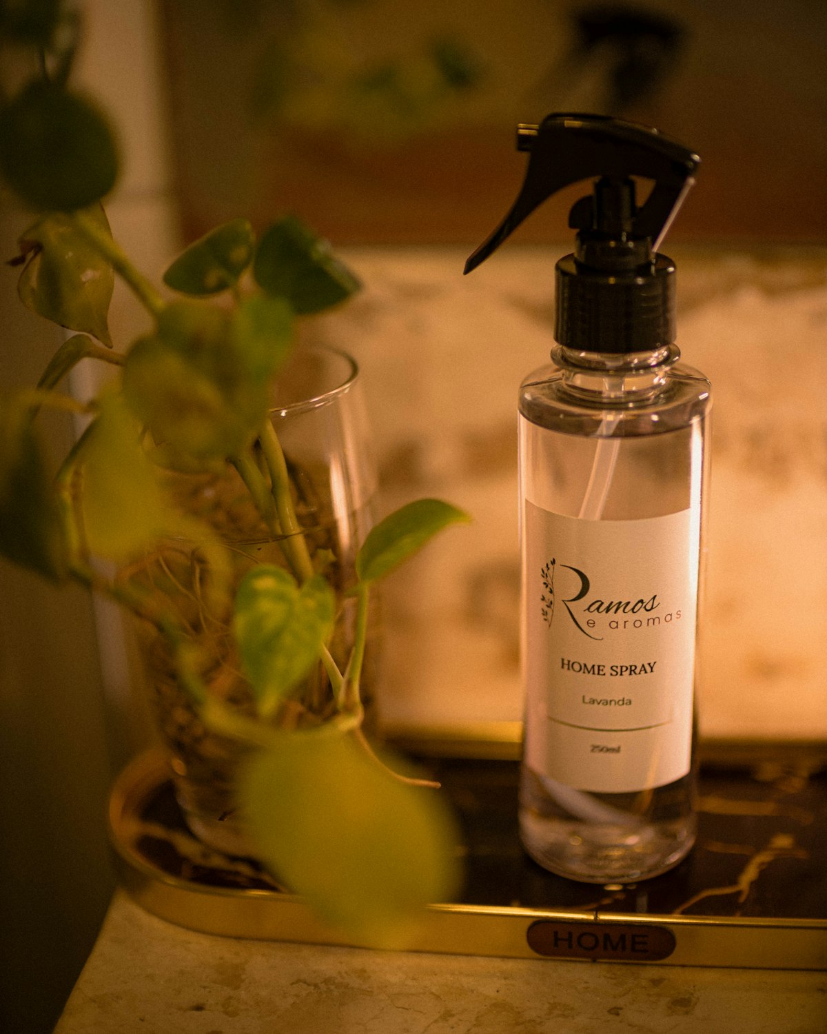 Clear spray bottle next to a plant